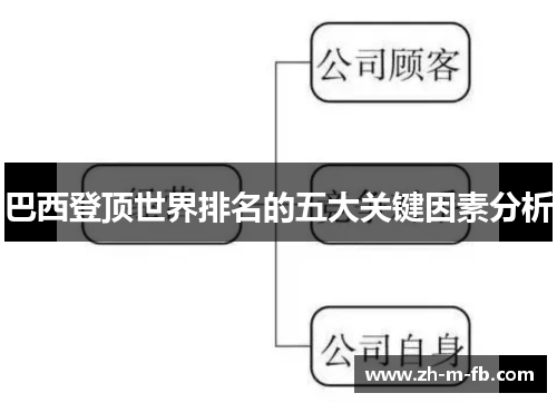 巴西登顶世界排名的五大关键因素分析