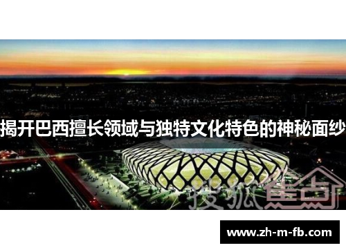 揭开巴西擅长领域与独特文化特色的神秘面纱