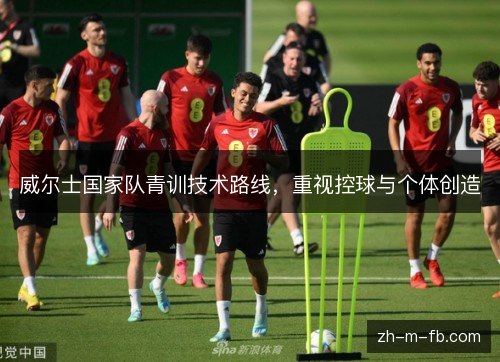 威尔士国家队青训技术路线，重视控球与个体创造
